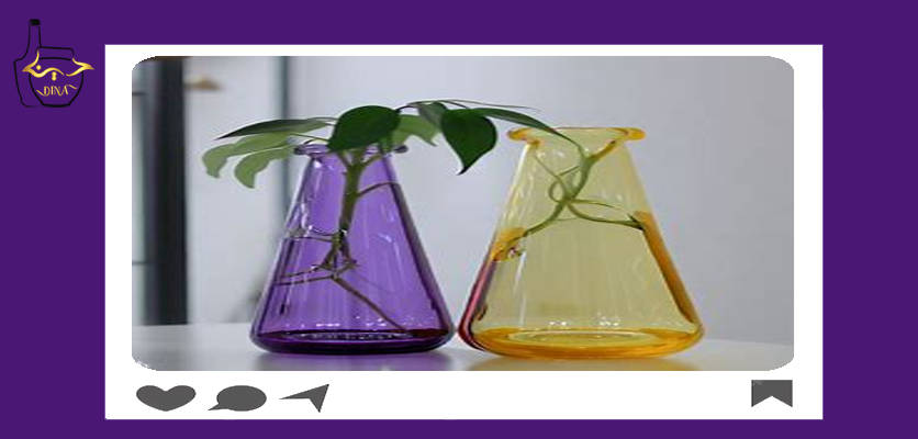 مناسب برای استفاده گیاهان در آب - بطری شیشه ای کهربایی